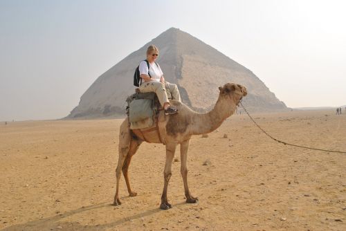 camel pyramids tourist information