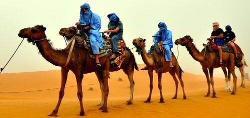 camel riders desert africa