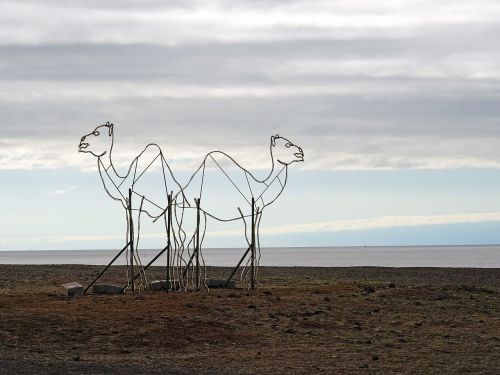 camels dromedary sculpture