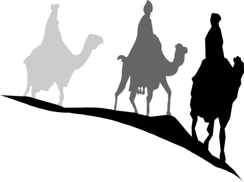 camels eastern magi
