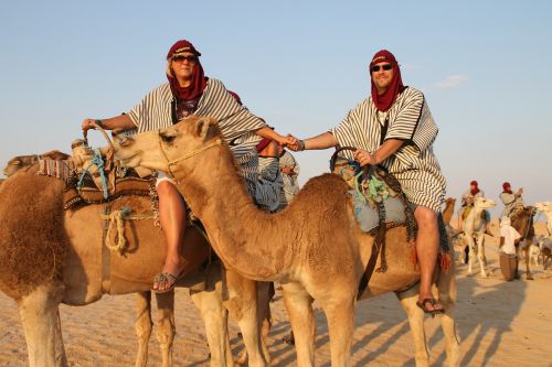 camels desert journey