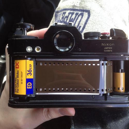 camera analog analog camera