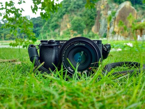 camera field grass