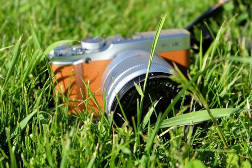 camera  grass  lens