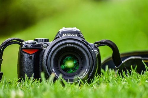 camera  grass  lens