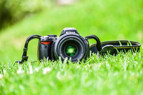 camera  grass  lens