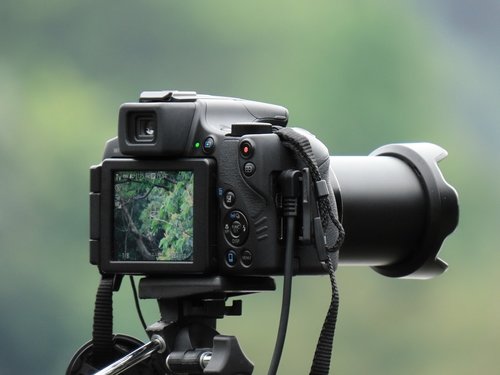 camera  digital camera  cannon