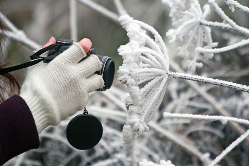 camera winter frozen