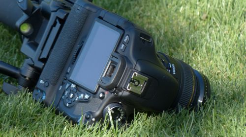 Camera In The Grass