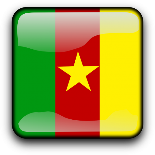 cameroon flag country