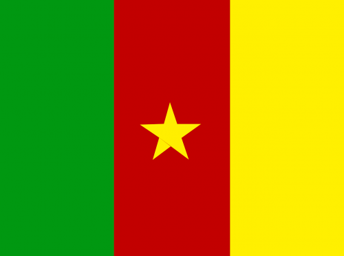 cameroon flag country