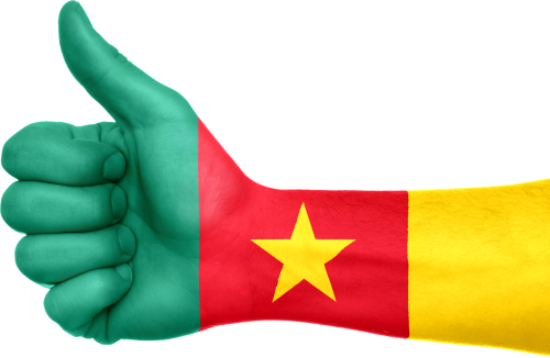 cameroon flag hand