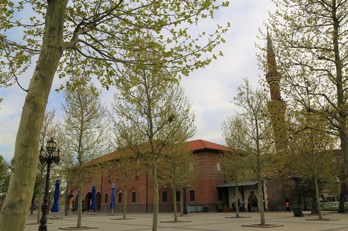 cami  minaret  tree