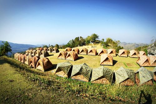 camp tent tree