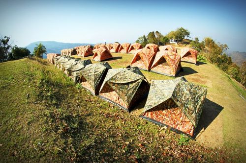 camp tent tree