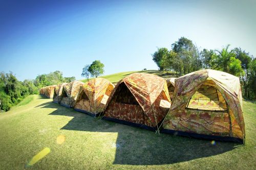 camp tent tree