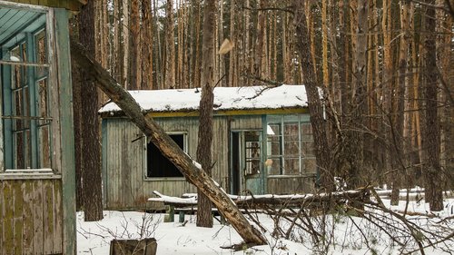 camp  children  tree