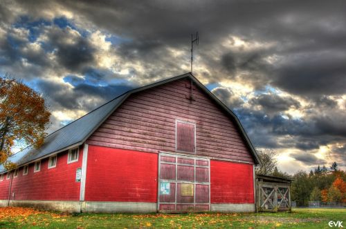 campbellvalley park red