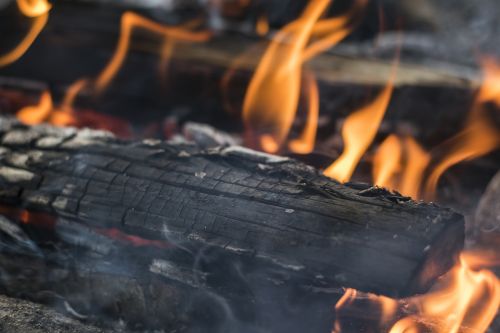 campfire firewood fire