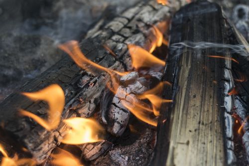 campfire firewood fire