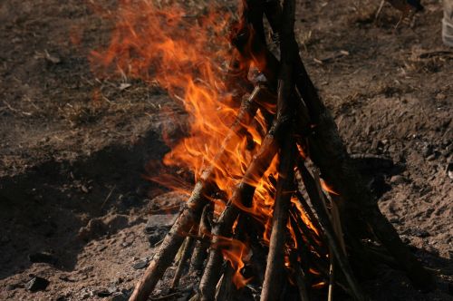 campfire fire wood