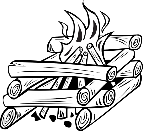 campfire firewood wood