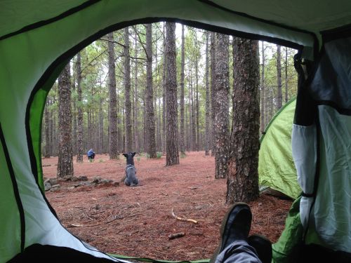 camping field booth