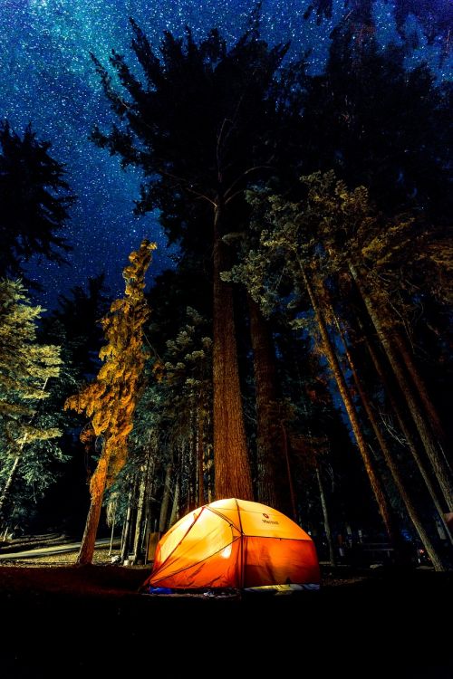 camping dark forest