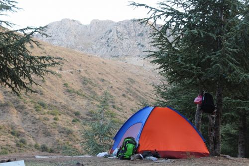 camping forest algeria