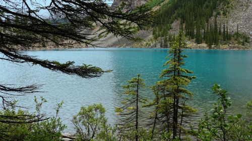 canada lake nature