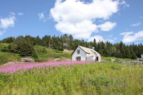 bird island cabin landscape