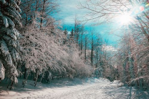 canada landscape winter