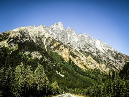 canada nature landscape