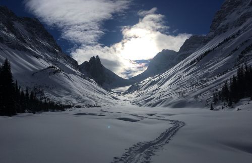 canada nature outdoors