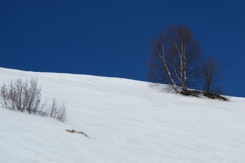 canada beach dune