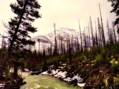 canada landscape stream