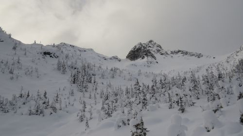 canada winter nature