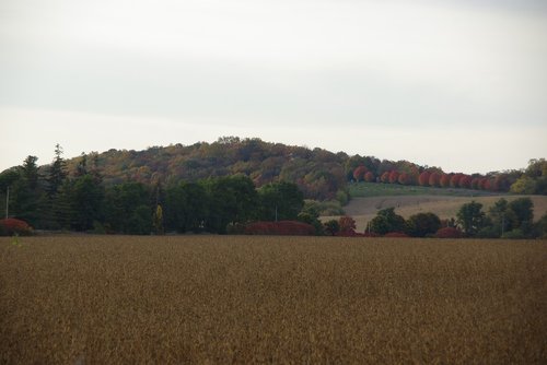 canada  fall  colorful