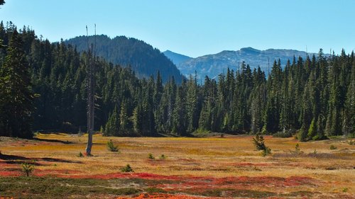 canada  british columbia  strathcona