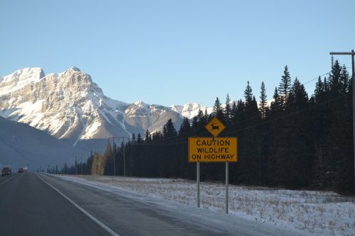 canada nature road