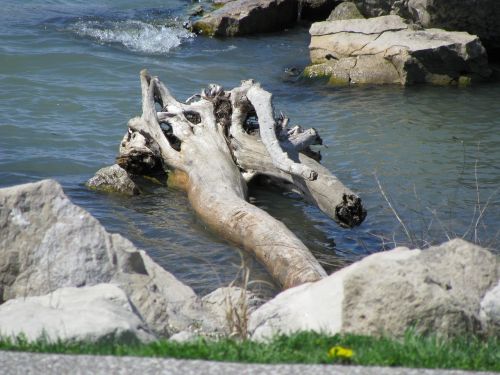 canada river stones