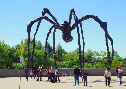 canada ottawa spider