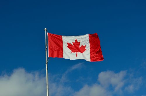 canadian flag canada maple