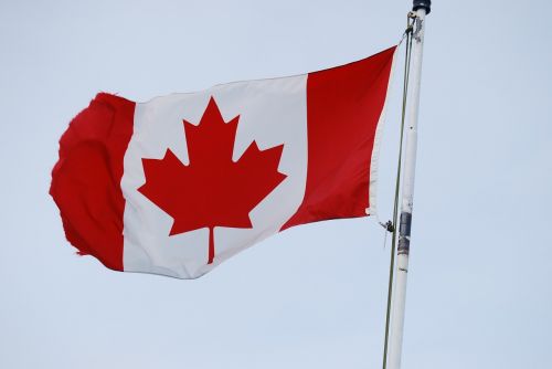 canada flag maple leaf flag