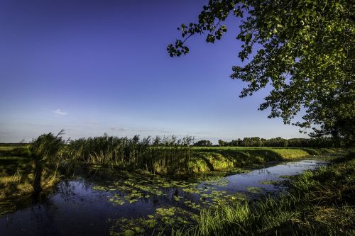 canal nature landscape