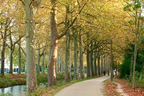 canaldumidi  toulouse  nature