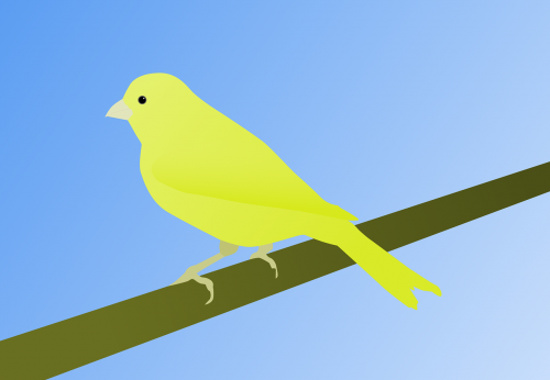 canary bird warrant canary