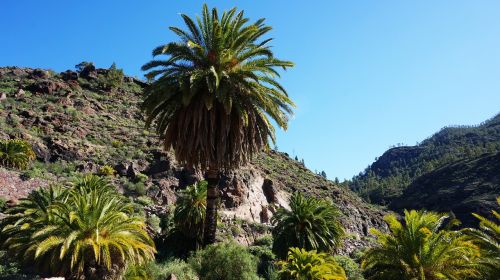 canary islands rocks mountains