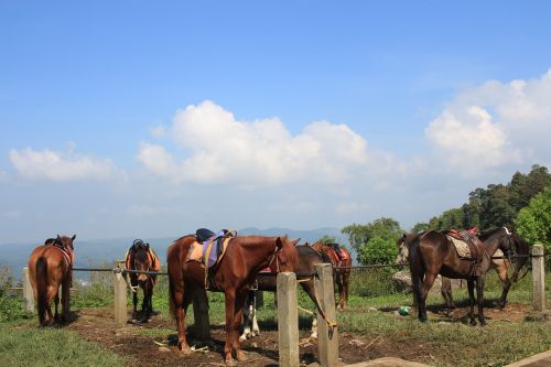 candi kedongsongo bandungan