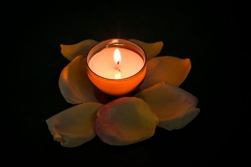 candle rose tealight